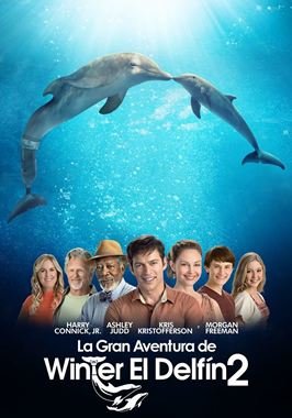 Dolphin Tale 2