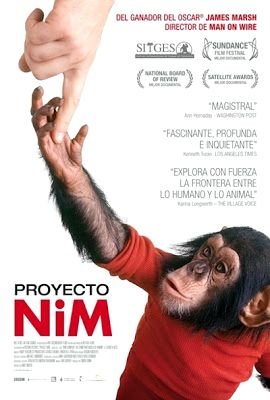 Proyecto Nim