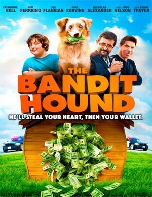 The Bandit Hound